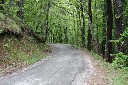 17-Vizzavona petite route